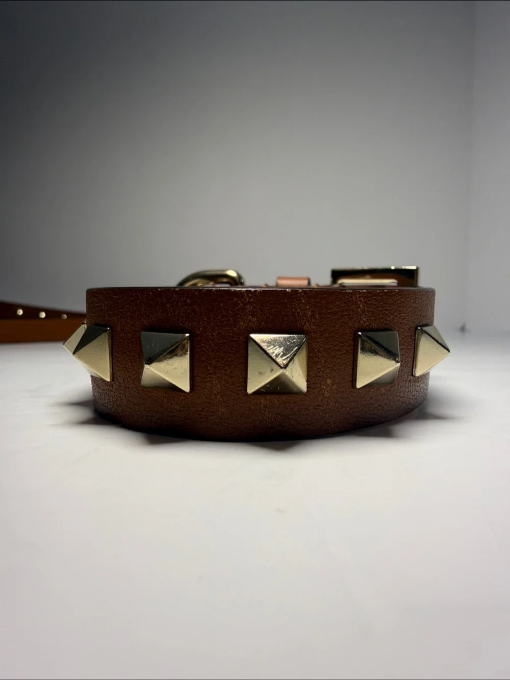 Valentino Garavani Rockstud Leather Dog Collar & Leash Set